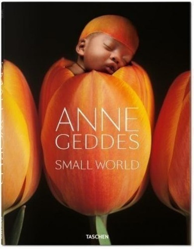 Libro - Geddes Small World  - Geddes, Anne