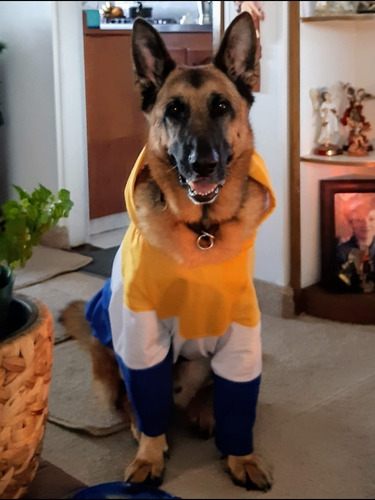 Ropa Para Mascotas, Buzo Para Perro O Gato