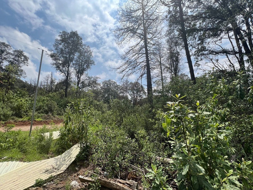 Vendo Terreno Plano Espíritu Santo, Colinda Con Río Cod. Vte764