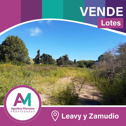 Imagen 4 de 5 de Lotes En Venta! 1000 M2