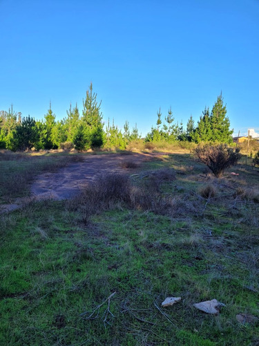 Terreno Ubicado A Menos De Un Kilometro De Algarrobo Centro