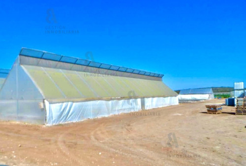 Imagen 10 de 11 de Terreno En Venta 1200 Hectareas Tekax, Yucatán. Ctv16.