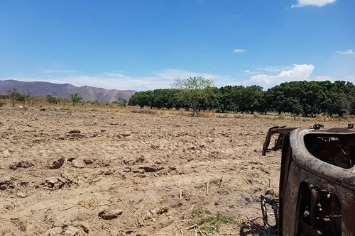 Imagen 6 de 10 de Asein1041 Vende De Oportunidad Finca En Vigirima Guacara