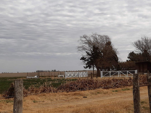 Imagen 6 de 22 de Campo - General Deheza