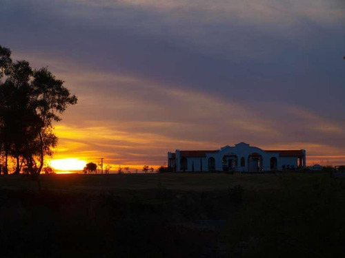 Imagen 11 de 16 de Venta Lote Terreno 3000 M2 Chacras Del Rincón - Timbues