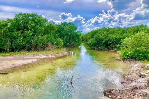 Imagen 19 de 21 de Terrenos En Venta En Mérida, Yucatán, Cerca De La Playa