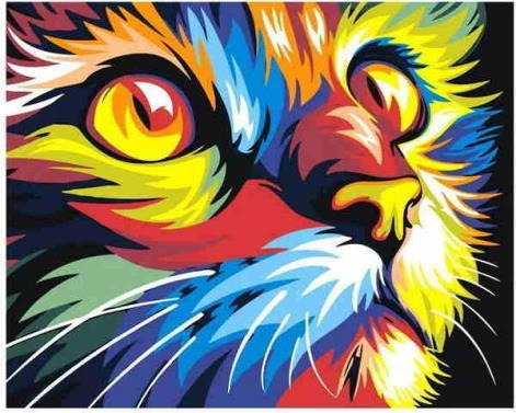 Pintura Numerada Gato Colorido