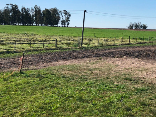 Campo Agrícola-ganadero De 92 Hás En Venta En San José.