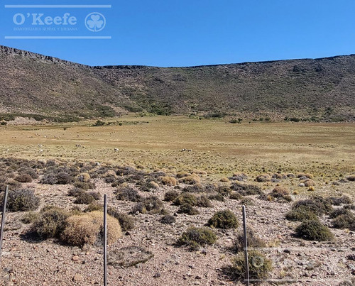Imagen 7 de 30 de Campo En Venta De 14.000 Has En Neuquen Patagonia Argentina - Estancia Ganadera