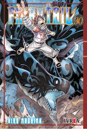 Fairy Tail # 30 - Hiro Mashima