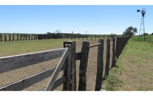 Imagen 16 de 30 de Campo Ganadero 3220 Ha - ( 420 Agrícolas ) Reconquista - Prov. De Santa Fe