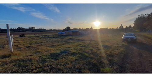 Venta Lote Arenas De Oro Miramar