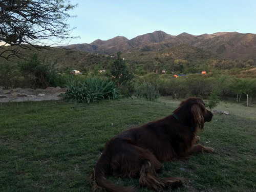 Imagen 15 de 20 de Lote En Venta - Cruz Chica La Cumbre Córdoba