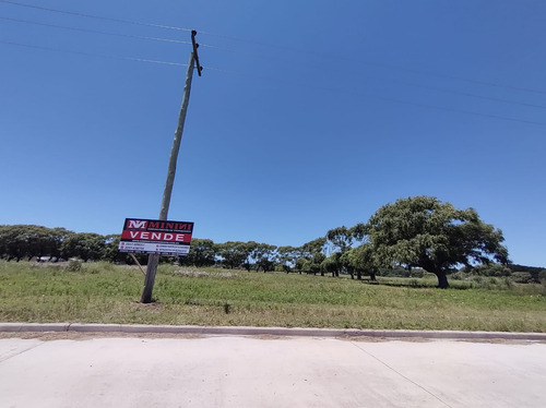 Gran Loteo En San Bernardo, Sobre Colectora!