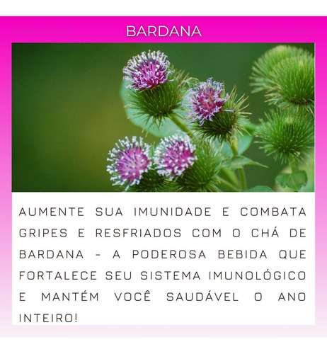 Chá bardana em ervas 50 g