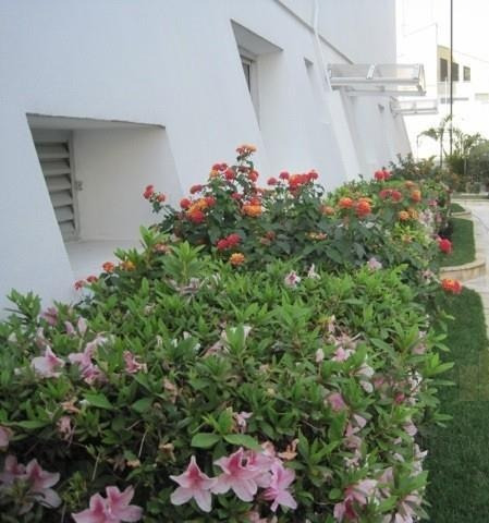 Cobertura Residencial À Venda, Tatuapé, São Paulo. - Co0203