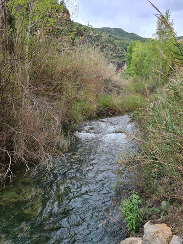 Parcela Orilla Estero / Condominio San Esteban / Los Andes
