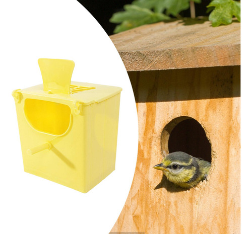 Caja De Reproducción De Aves Amarillo
