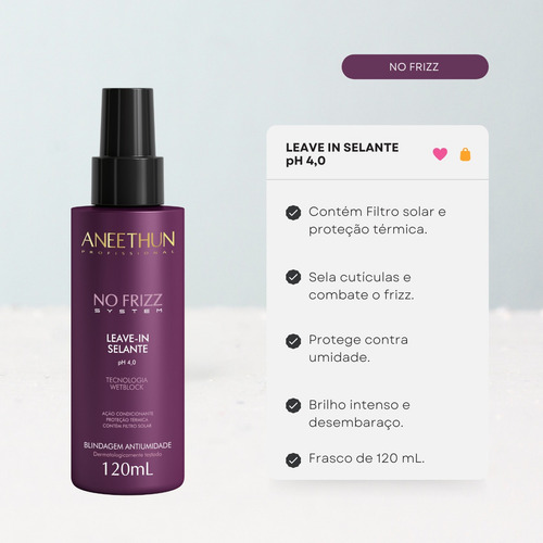 Kit Disciplinante No Frizz Aneethun 3 Produtos Frizz Zero
