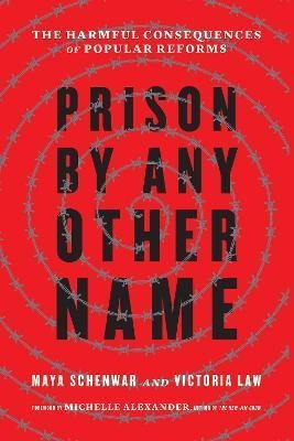 Libro Prison By Any Other Name : The Harmful Consequences...