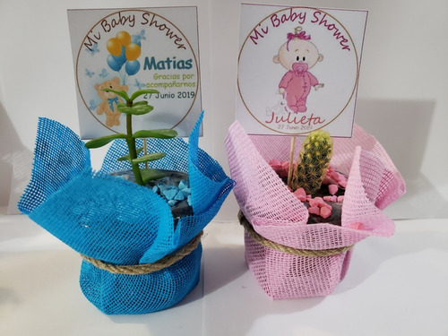 Imagen 2 de 10 de Recuerdos 35 Plantas Suculentas Decoradas Todo Evento