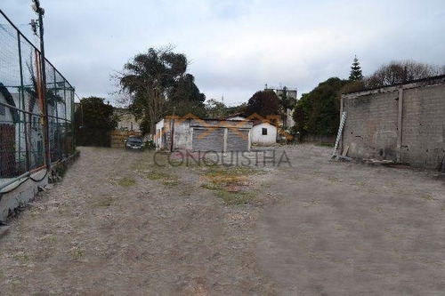 Imagem 2 de 9 de Galpao Industrial - Batistini - Ref: 2215 - V-4399