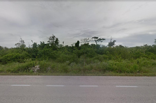 Terreno 50 Hectareas Para Desarrollo Detrás De Ejido Playa Del Carmen