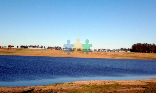 50 Metros De Costa, Acepta Financiacion Sin Interes, Venta, Chacra, Punta Del Este, Uruguay, Laguna De Los Cisnes - Ref : Eqp3576
