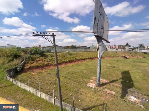 Imagem 14 de 15 de Terreno Para Venda No Bairro Cidade Industrial Satélite De São Paulo Em Guarulhos - Cod: Ai29734 - Ai29734