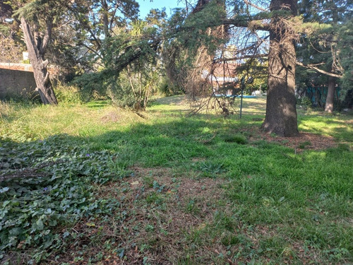 Imagen 7 de 8 de Lotes En Venta San Miguel