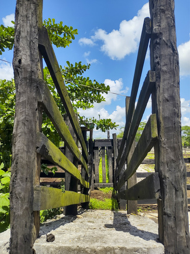 Venta De Rancho En Zona Ganadera De Yucatán, Con Cenotes, 453 Has