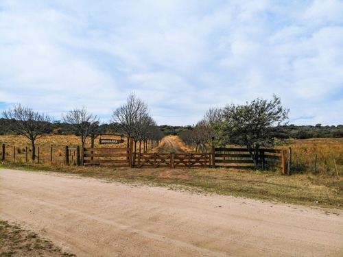 Campo De 200 Hectareas En Argentina, Cordoba. Villa De Dique
