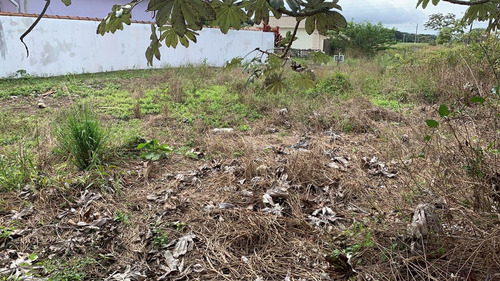 Imagem 5 de 6 de Terreno Urbano Próximo Do Mar