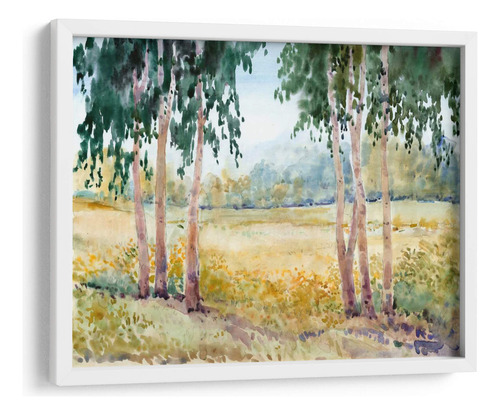 Cuadro Enmarcado Blanco Prado Luminoso Ii 60x45, Tim Otoole