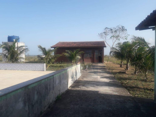 Imagem 2 de 4 de Sítio À Venda, 9846 M² Por R$ 450.000,00 - Centro - Carapebus/rj - Si0001