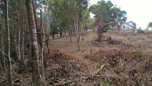 Fazenda 34 Hec. À Venda Em Taperoá-bahia