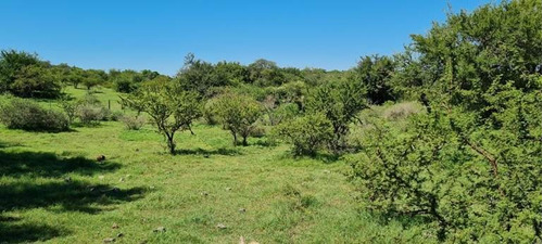 Imagen 22 de 29 de Venta Campo Falda Del Cañete-8,5 Has- Con Vista