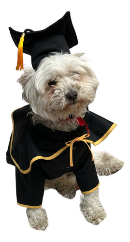 Disfraz De Graduado Para Mascotas Talla 1