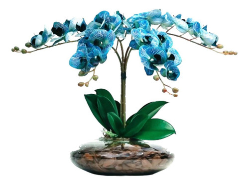 Arranjo Flores 4 Orquídeas Azul Toque Real Vaso Grande