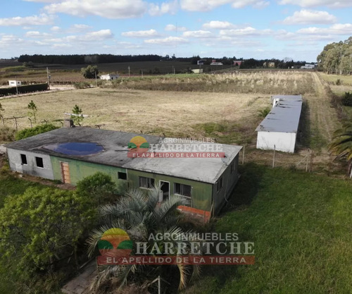 Chacra 4 Has Cno Calpino En Montevideo Rural