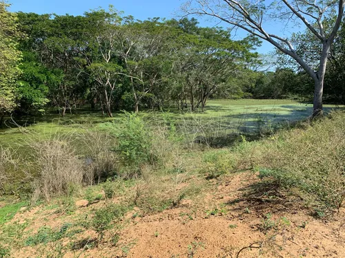 Finca Ganadera