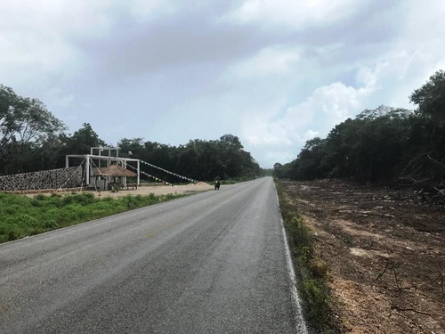 Imagen 3 de 10 de Oportunidad Inversionistas Terreno En La Ruta De Los Cenotes