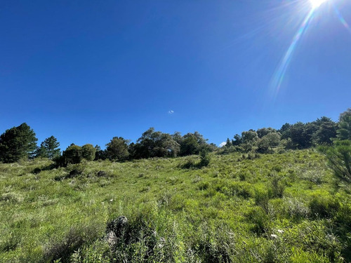 Se Vende Lote De 4 Hectareas En San Clemente