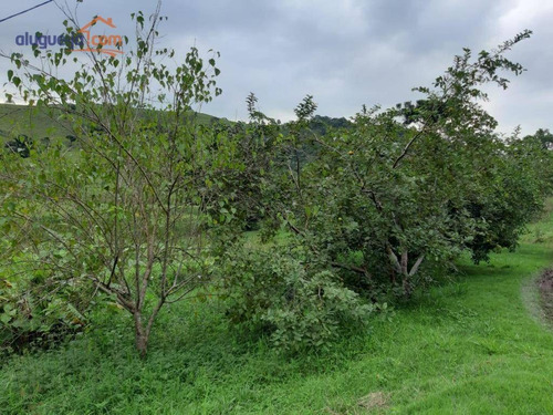 Imagem 15 de 30 de Chácara Com 2 Dormitórios Para Alugar, 16000 M² Por R$ 2.500,00/mês - Souzas - Monteiro Lobato/sp - Ch0145