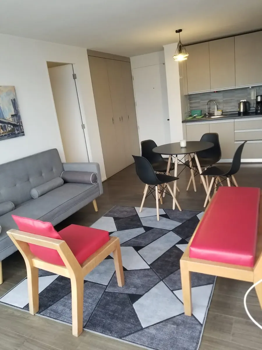Imagen 4 de 19 de Disponible 2 Dorm 1 Baño + Bodega Fernández Albano