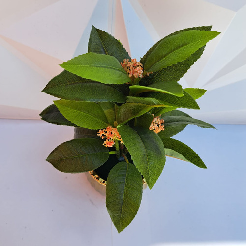 Planta Artificial Con Maceta Decorativa