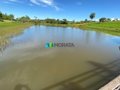 Imagem 3 de 15 de Fazenda - Zona Rural - Ref: 5332 - V-mta5332
