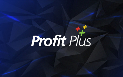 Profit Plus Soporte Consultoria Programacion Y Desarrollos