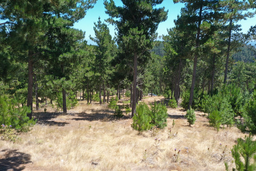 Excelente Terreno En Boyeruca