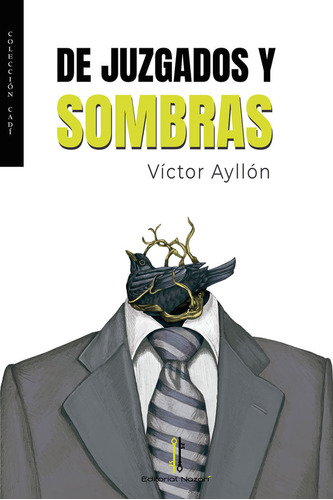 De Juzgados Y Sombras - Ayllon,victor